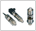 DBS316׃